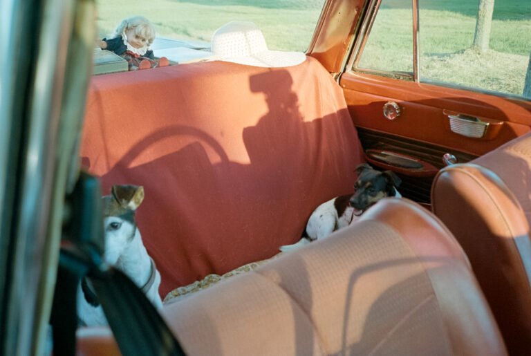 Instagram Sven Hofmann 1 69 768x515
